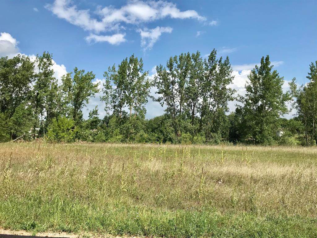 Lot 4 Bison Trail - Photo 1