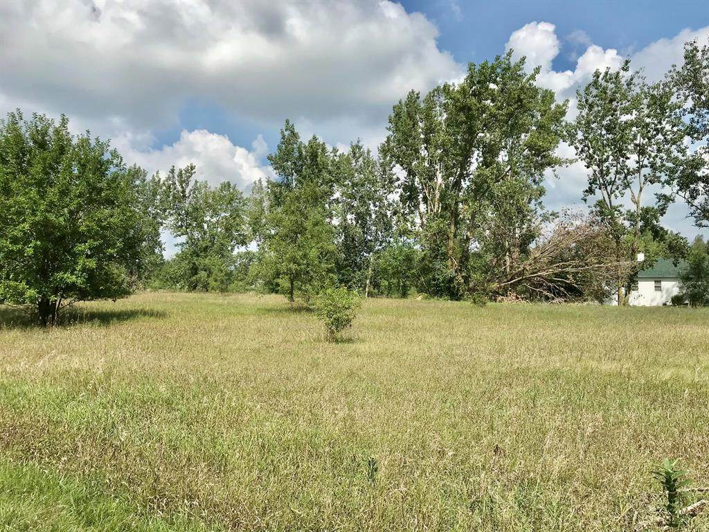 Lot 6 Chief Court - Photo 1
