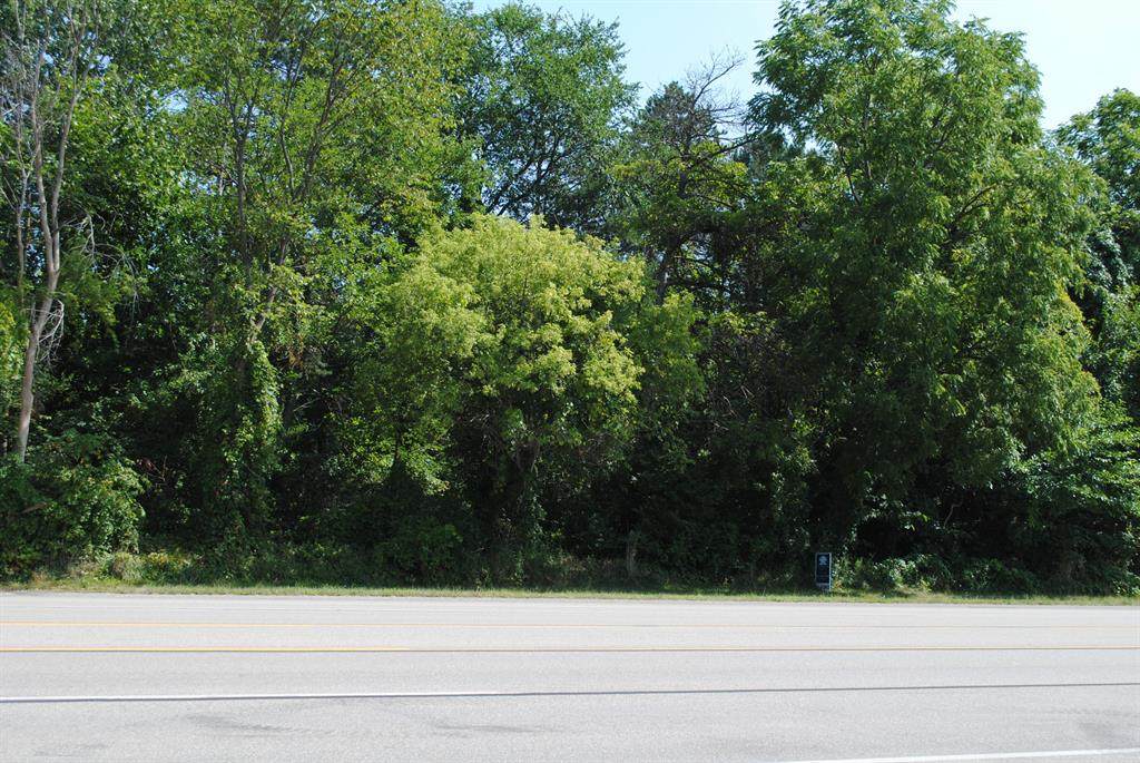 5545 Cascade Road - Photo 1