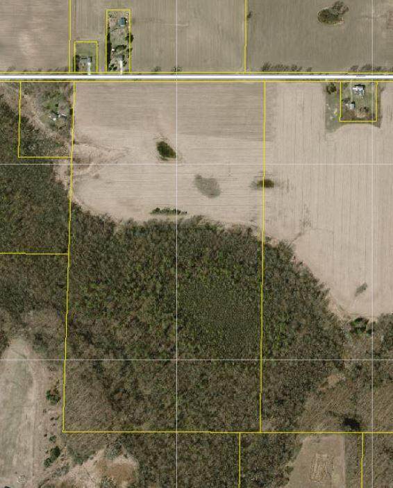 9950 11 Mile Road - Photo 1