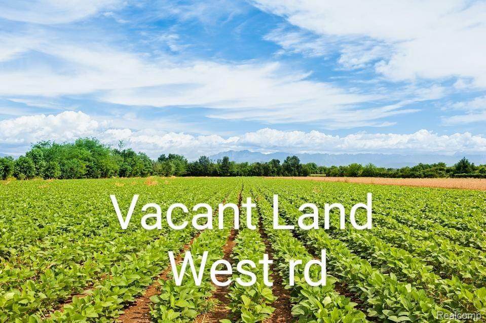 32375 West Road - Photo 1