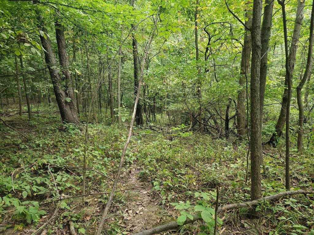 590 Broman Street - Photo 1