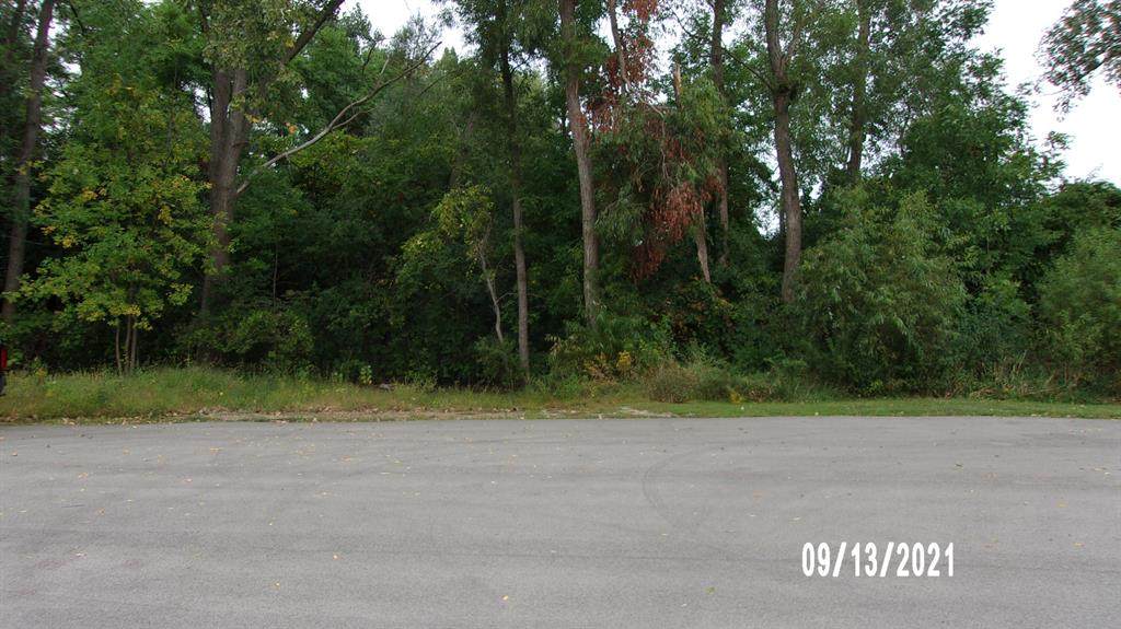 784 Blackman - Photo 1