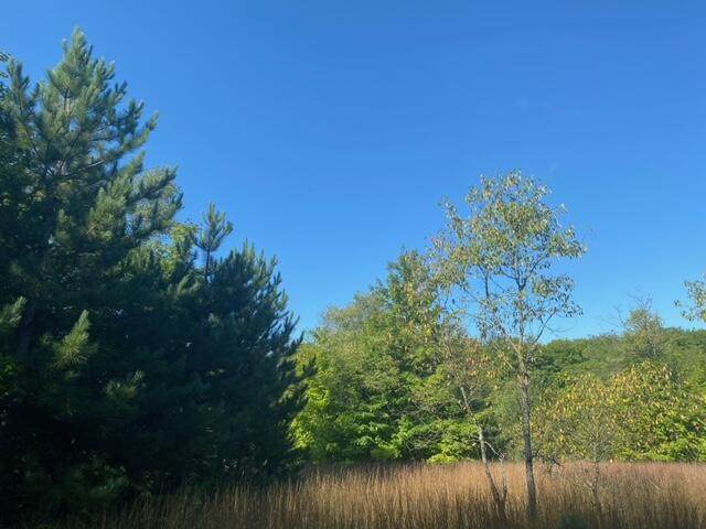 00 Sharon Road - Photo 1