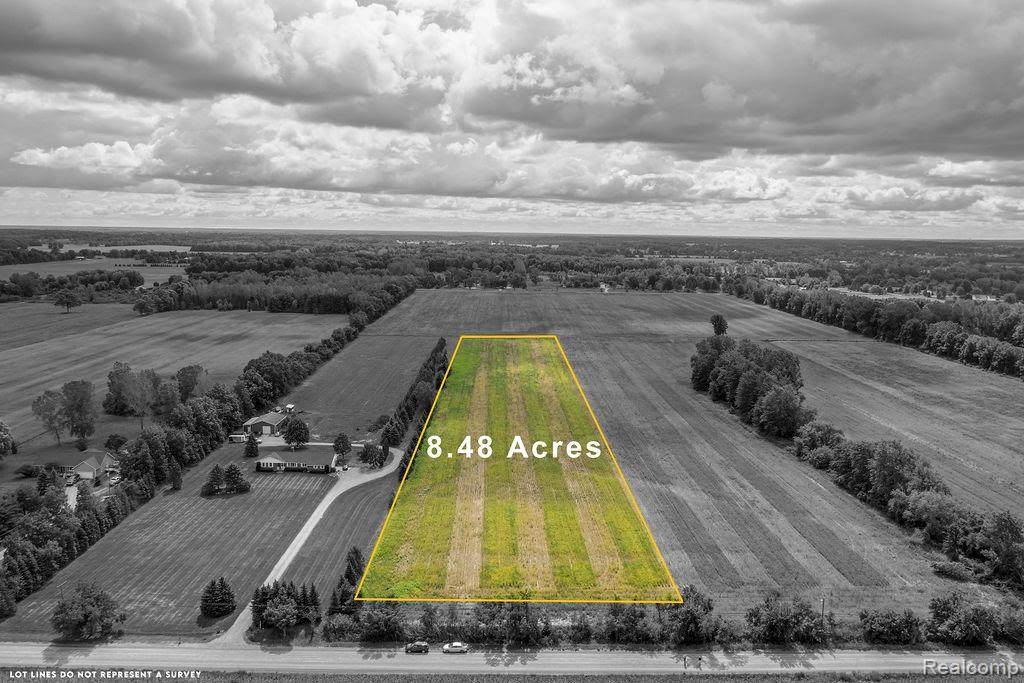 21736 Bordman Road - Photo 1