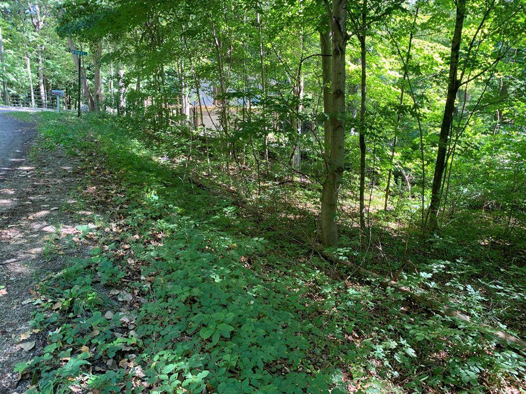 5780 Mckinley Street - Photo 1