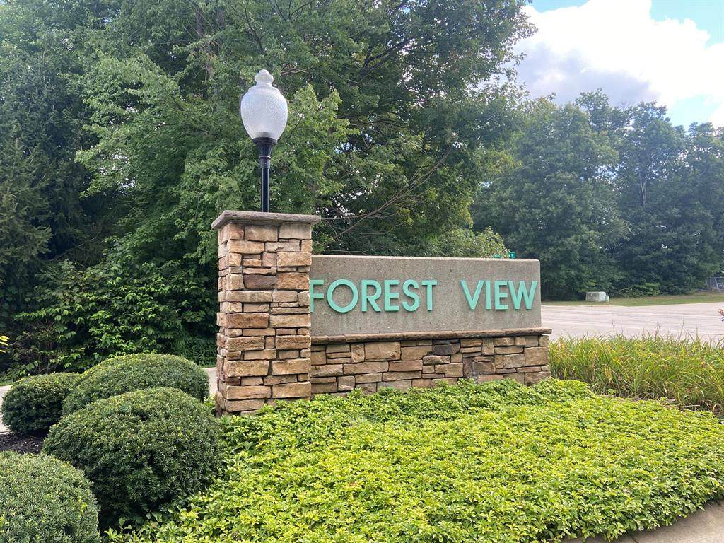 Vac Forest View Drive - Photo 1