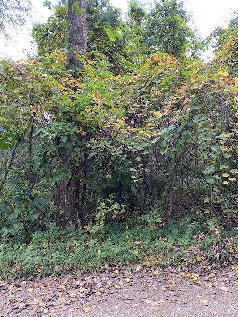 Lot 28 Flagler Avenue - Photo 1