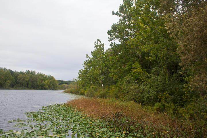 VL Morel Circle - Photo 1
