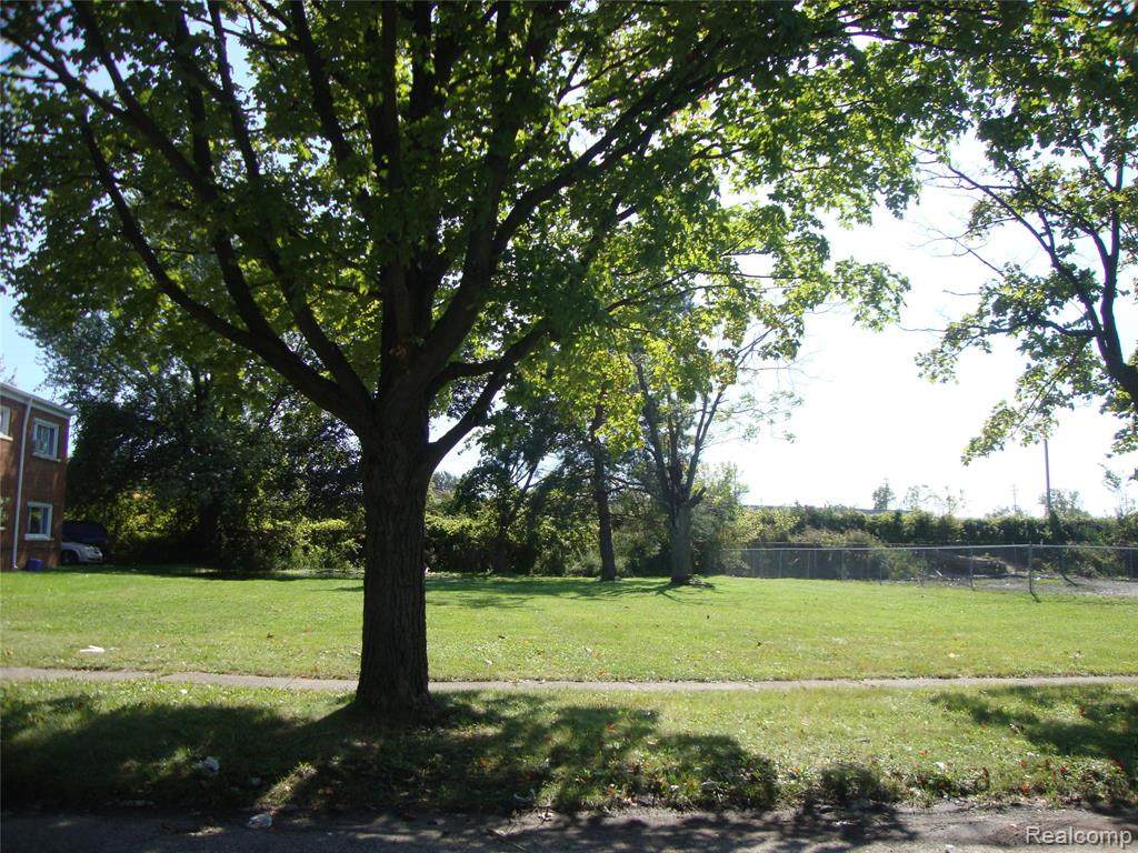 35631 Brush Street - Photo 1