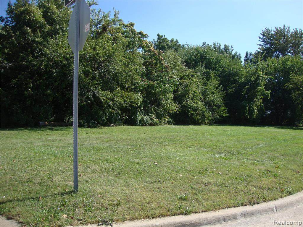 0 Michigan Avenue - Photo 1
