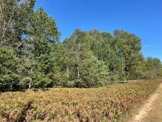 00 Frank Smith Rd - Photo 1