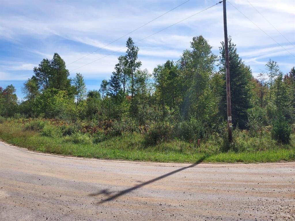 Parcel A Treml Road - Photo 1