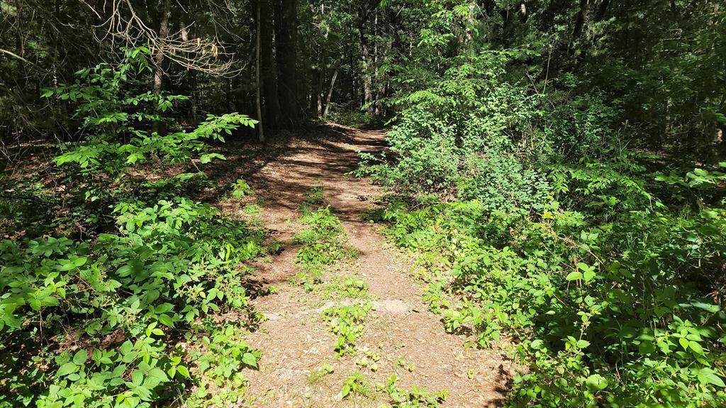 Lot 36 Wildwood Drive - Photo 1