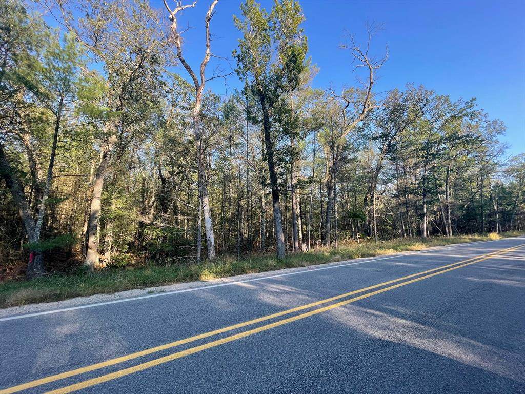 0 Holton Duck Lake Road - Photo 1
