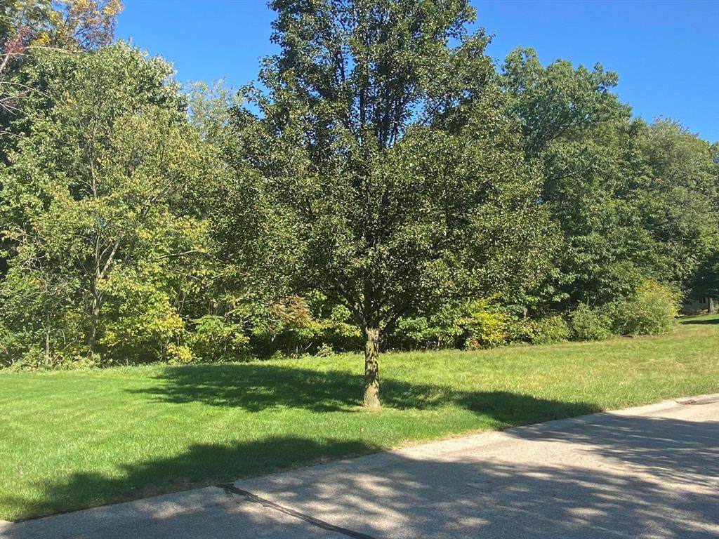 4035 Silvergrass Drive - Photo 1