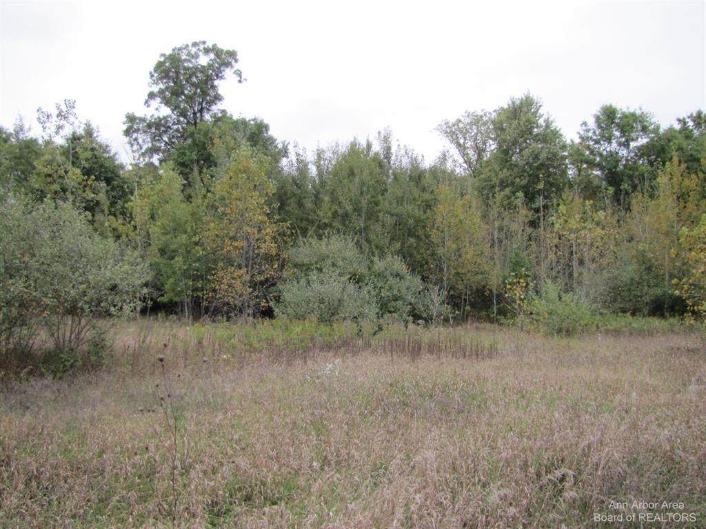 799 Cattail Lane - Photo 1