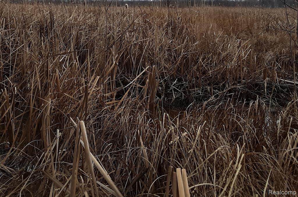 000 Plelps Road - Photo 1