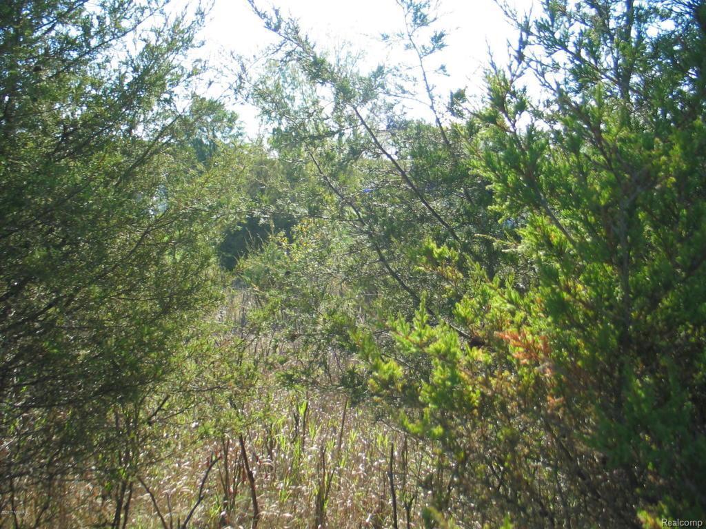 10661 Glendalough Ln - Photo 1