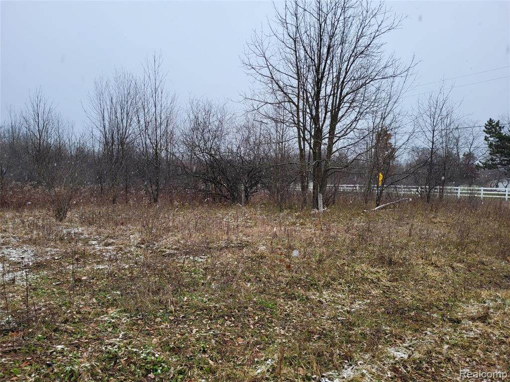 0 Ann Arbor Saline Road - Photo 1