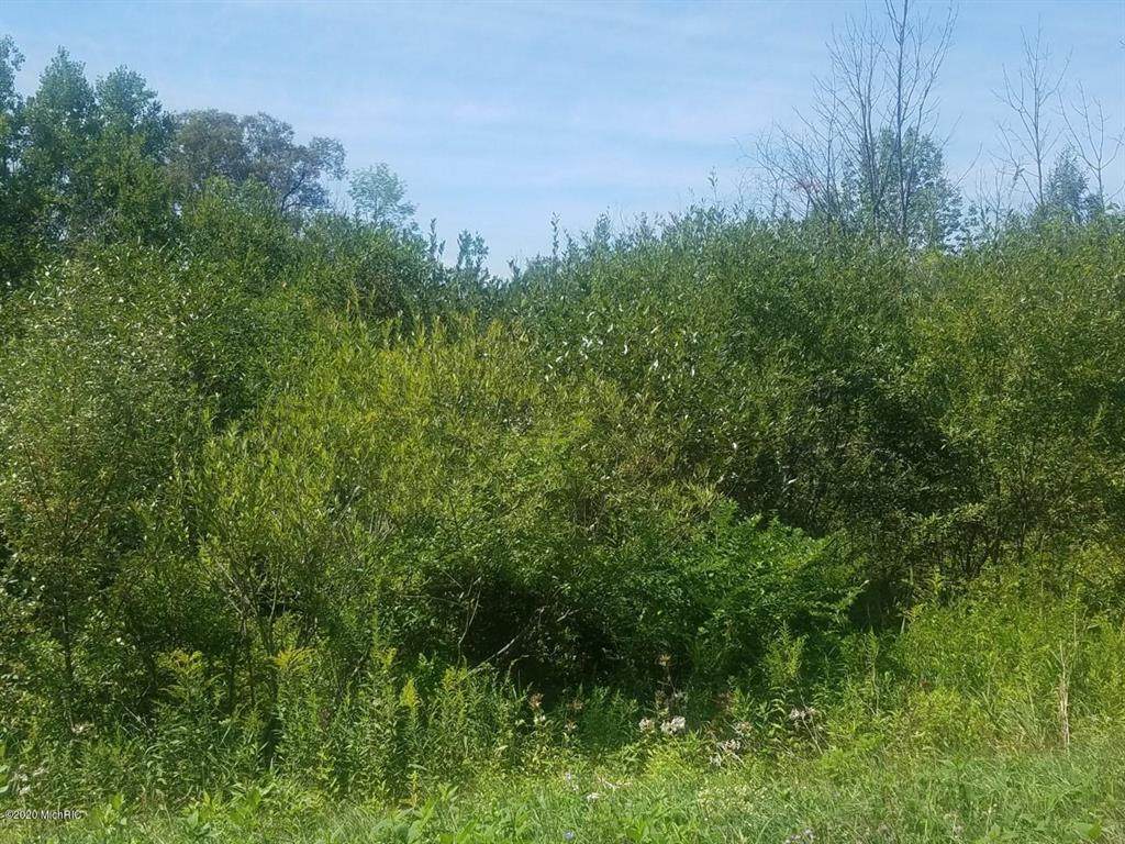 Lot 17 Marlene Road - Photo 1