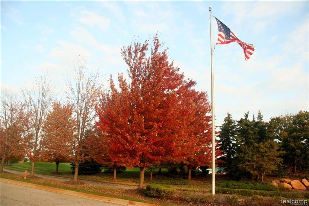 20 Tipperary Trail - Photo 1