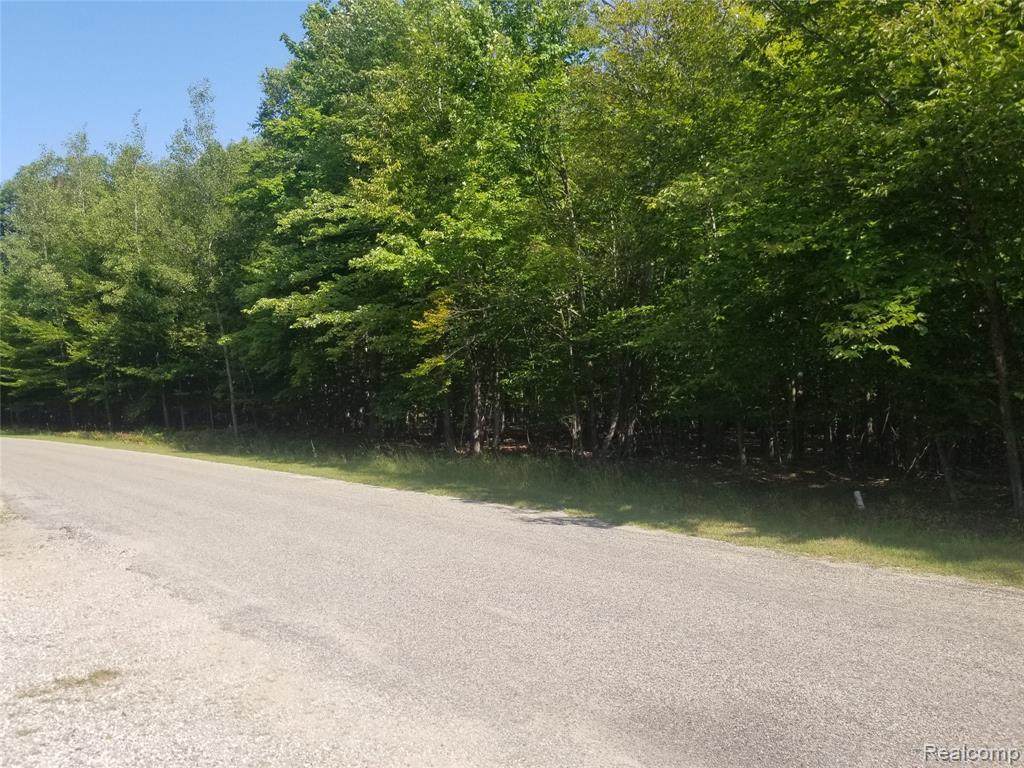 000 Sugar Hill Lane - Photo 1
