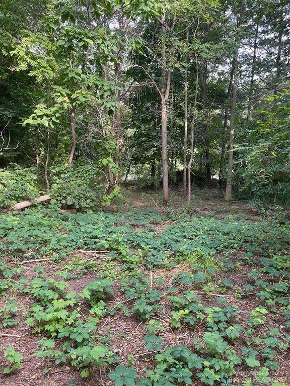 50201 Huron River Drive - Photo 1