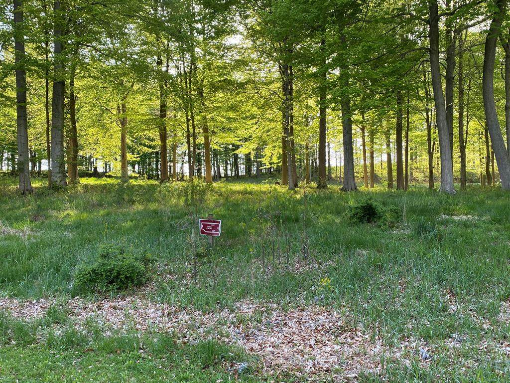 8794 Beechwood Court - Photo 1