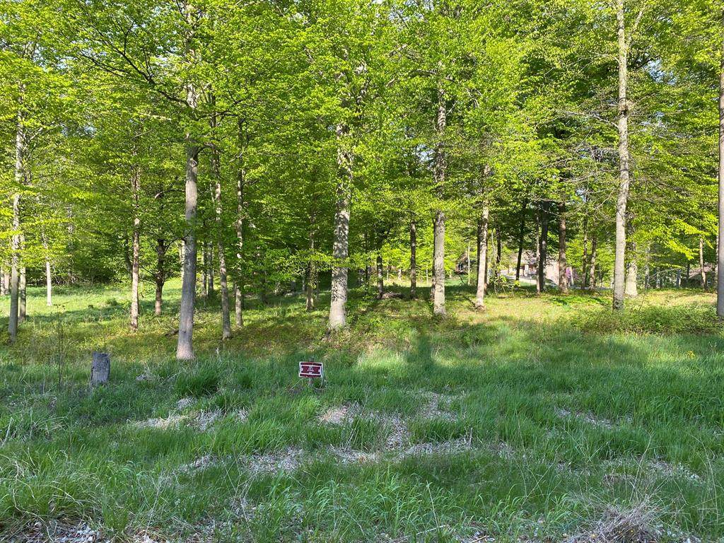 8787 Lakewood Trail - Photo 1