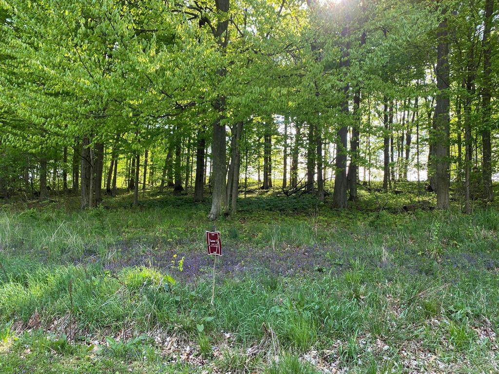 15 Lakewood Trail - Photo 1