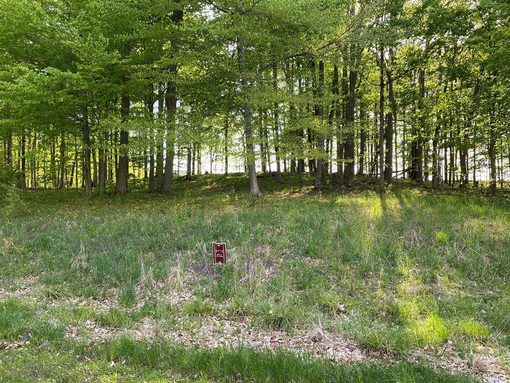 8778 Lakewood Trail - Photo 1