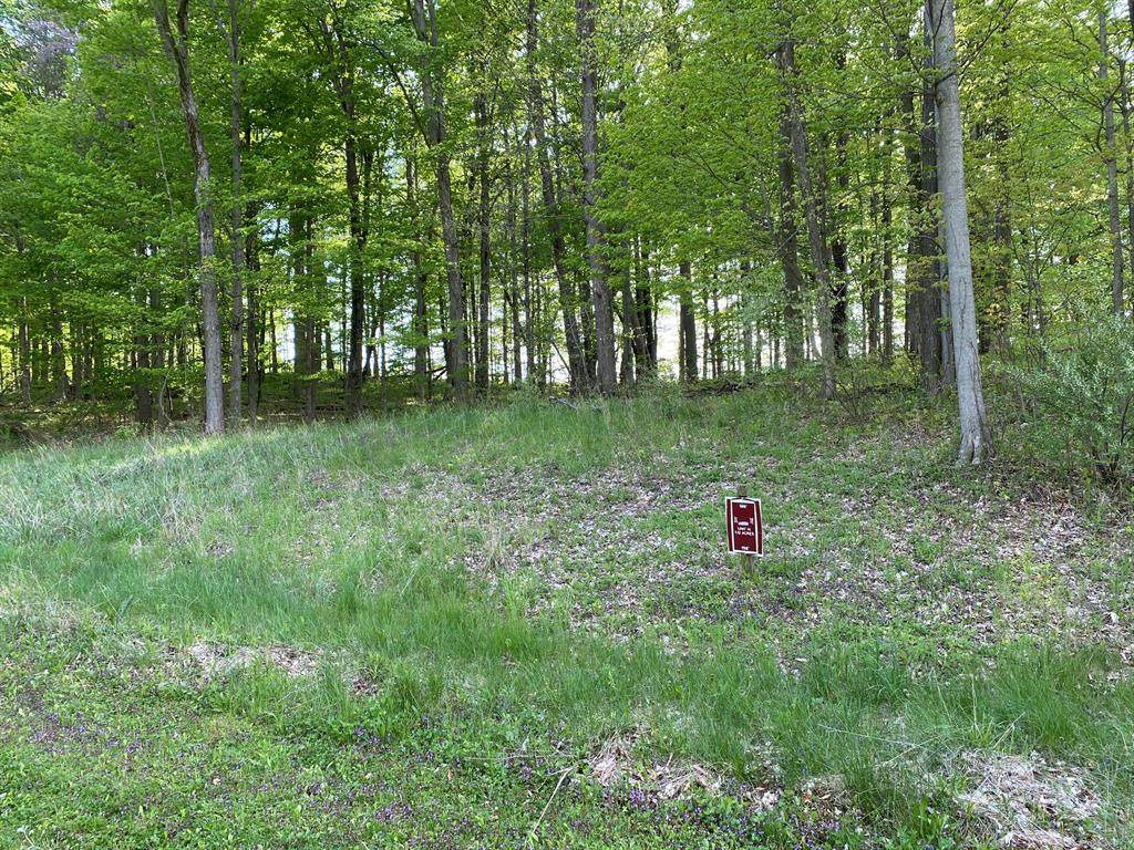 8766 Lakewood Trail - Photo 1