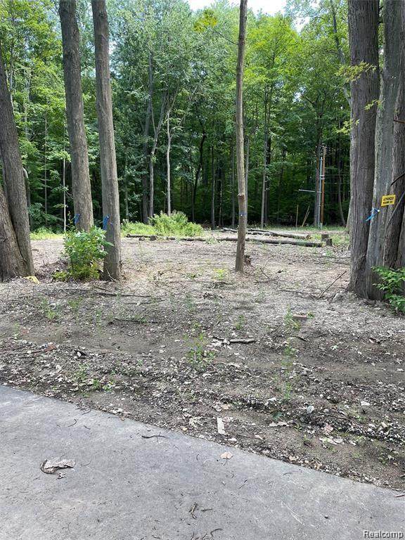 4920 Marcella Drive - Photo 1
