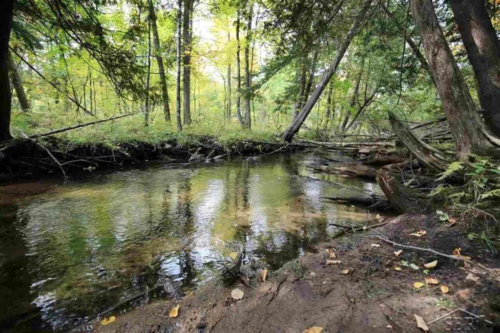VL Sugar River Rd - Photo 1