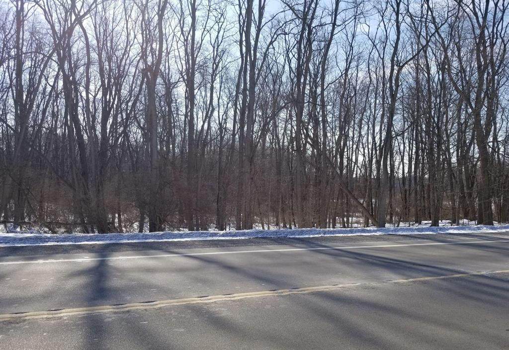 0 Spring Arbor Road - Photo 1