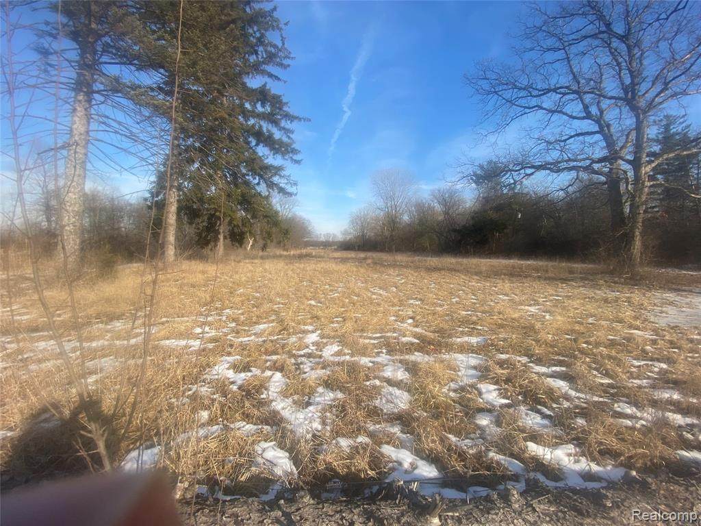 1028 Lotz Road - Photo 1