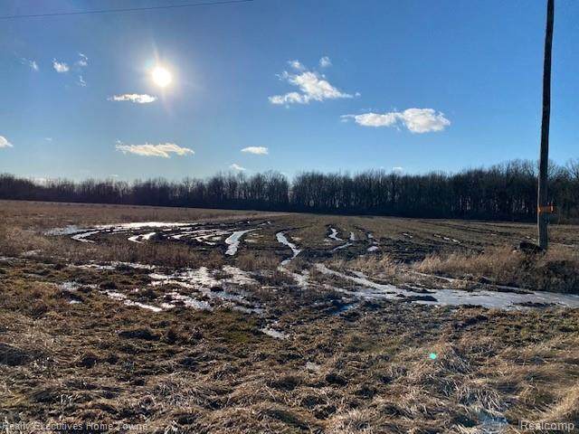 Vacant Sheridan Road - Photo 1