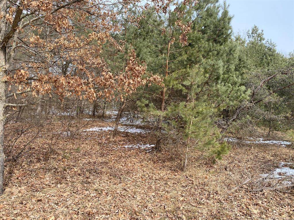 10736 Small Court - Photo 1