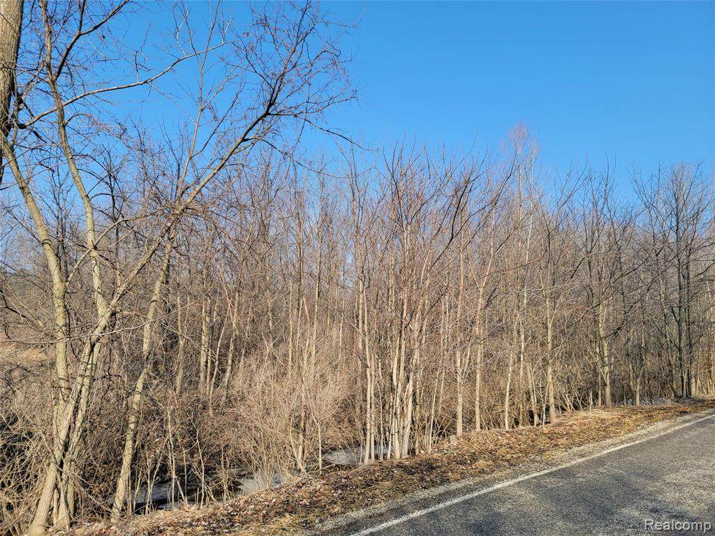 00 White Creek Road - Photo 1
