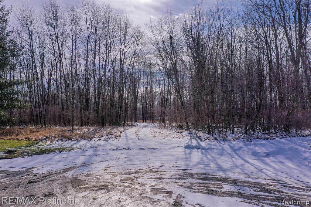 1231 Essay Lane - Photo 1