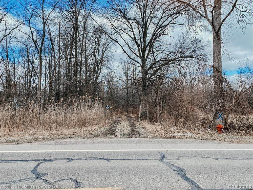 44048 Willow Road - Photo 1