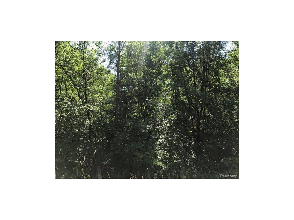 0 Corinne - Photo 1