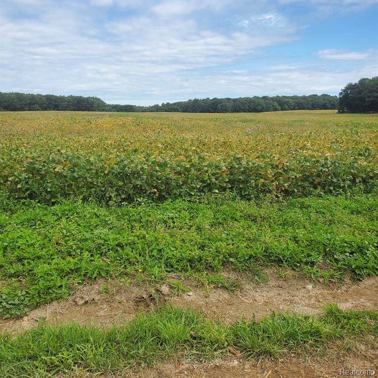 000 Oak Hill Road - Photo 1