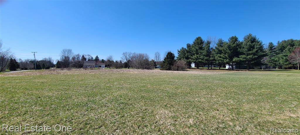 Vacant Seven Mile Road - Photo 1