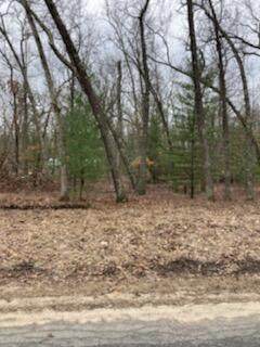 LOT 19 Star Lake Drive - Photo 1