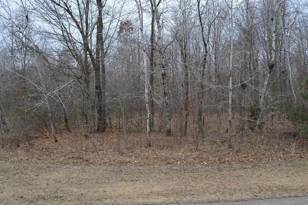 4540 Medler Drive - Photo 1