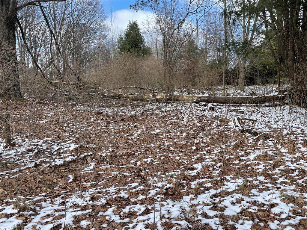 7892 Florida Street - Photo 1
