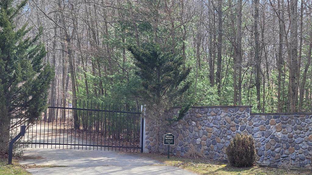Silver Vista Lane - Photo 1