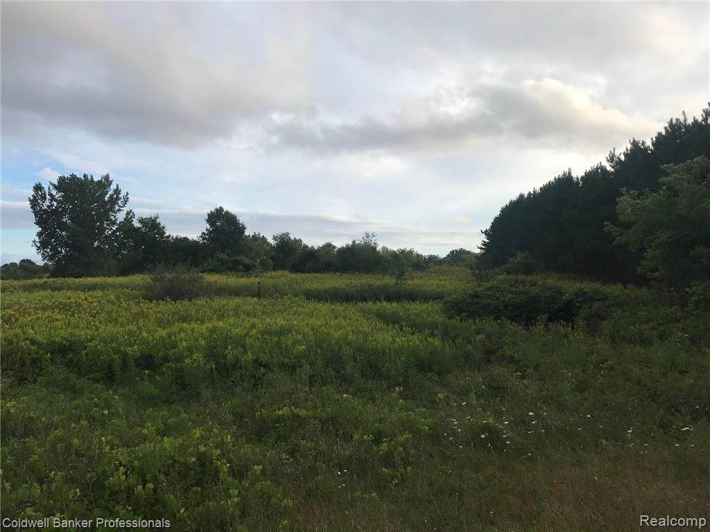 VAC Mountain View Estates Road - Photo 1